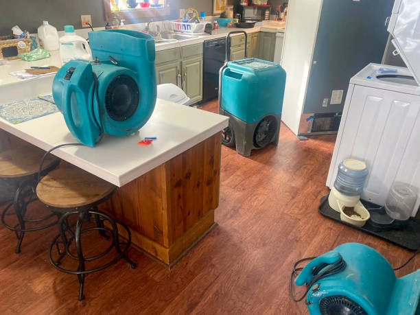 Best Fire Damage Restoration  in Dallastown, PA