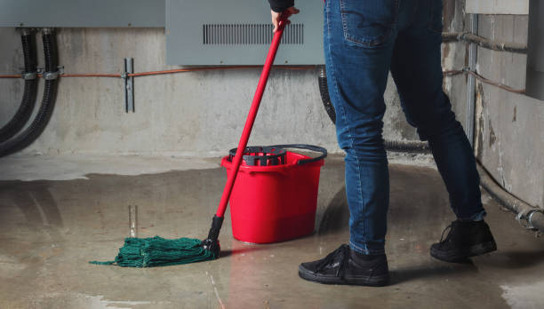 Best Professional water damage repair  in Dallastown, PA