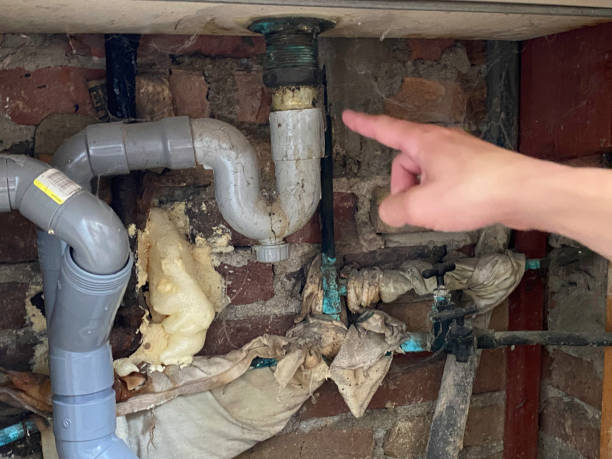 Best Carpet water damage restoration  in Dallastown, PA