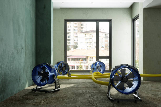 Best Local water damage restoration  in Dallastown, PA