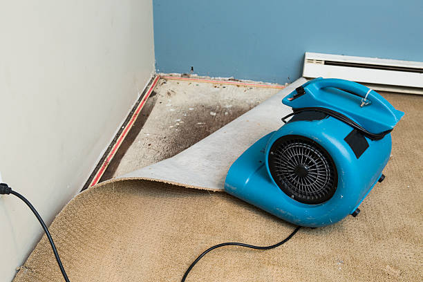 Best 24-hour water damage restoration  in Dallastown, PA